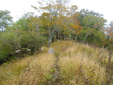大峯奥駈道はなだらか