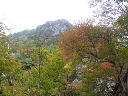 行者還岳をよくみると岩肌が露出してかっこよかった