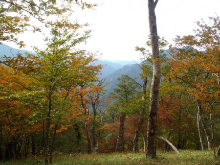 すっかり紅葉の時期