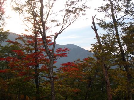紅葉の間から鉄山