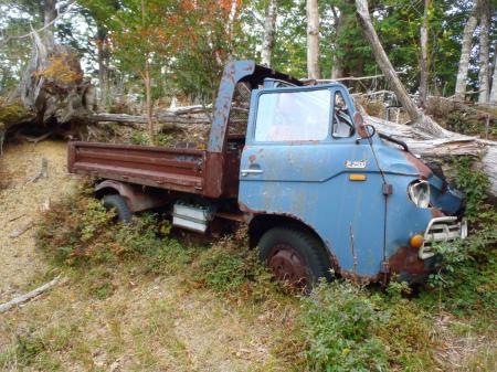 すごいことになってる