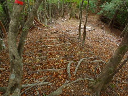 下山も階段をひたすら下る