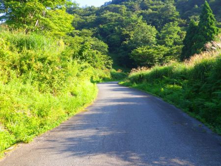 ちょっと長い林道をひたすら歩いていく