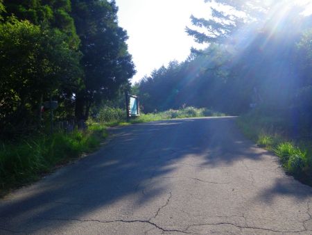 ここで林道は終わって左は鉢伏山で右は高坪山