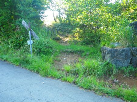 まずは高坪山をピークハントしてみる