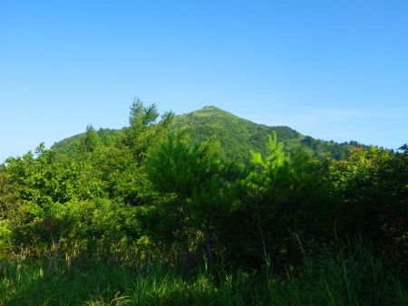 みろく岩のピークが見えた。鉢伏山はあの向こう側にあって見えない