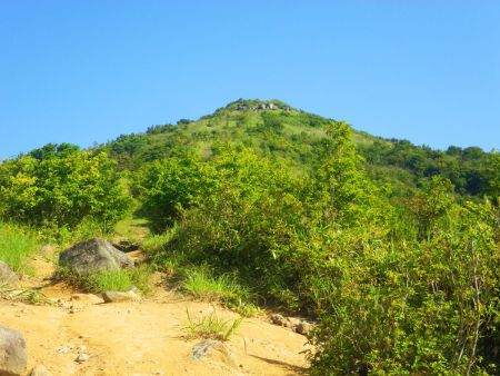 みろく岩のピークが見えた。岩が露出していていい感じの山容だね