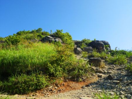 みろく岩の直下まで登ってきた。正規ルートは左側でみろく岩を巻くんだけど、せっかくなので登ってみることにした
