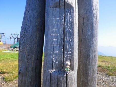 せっかくなので雪村あおいちゃんを撮影しておいた