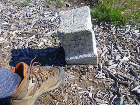 鉢伏山の山頂三角点があったので撮影しておいた