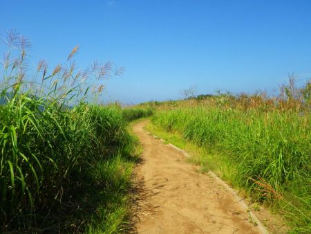 気持ちの良い稜線歩きが続く。時折風が吹いて気持ちいい