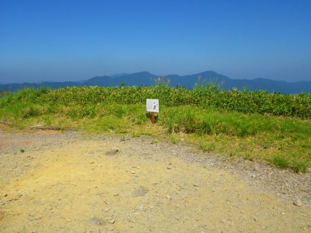 高丸山の山頂に登ったけど、山頂看板など何もなかった。しかし地図上ではここが高丸山の山頂になってる