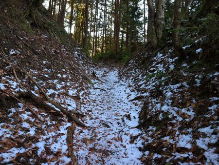 標高があがるにつれて積雪量がふえてくる。こういう登山道がひたすら続く