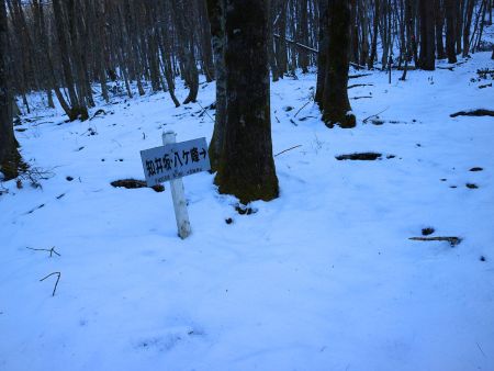 この付近はだだっ広くなっていてわかりにくいんだけど、道標があったのでルートはすぐわかった