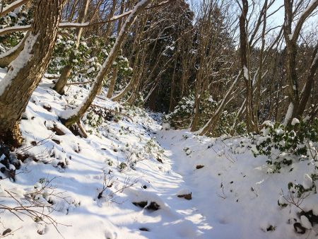 かなり晴れて青空もでてきたのに、霧氷が全くないのは本当に残念だ