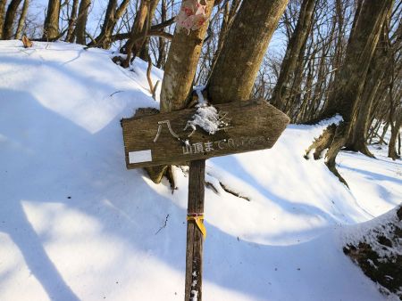 八ヶ峰まであと0.7kmか。まだ結構あるんだなっと思いながらもなだらかな道なので時間的には早いのかな