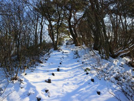 最後に山頂直下の登り。ここはちょっとだけ急登で下りは滑りそうだね