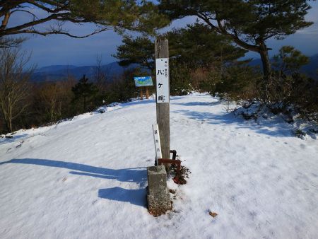 八ヶ峰山頂(800.1m)に登頂。三角点があるのと南側の展望があるという感じかな
