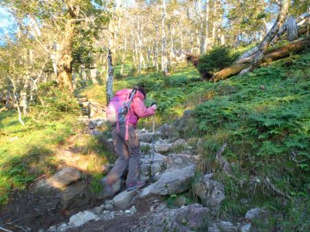 弥山への登り