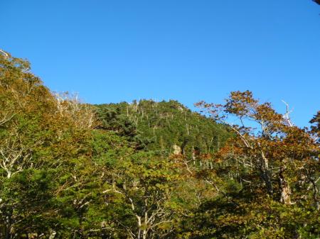 修復山が見えた