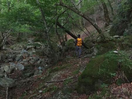 沢ルートはなだらかで涼しいしイイ！！