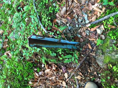 ところどころにこういうのもささっていた