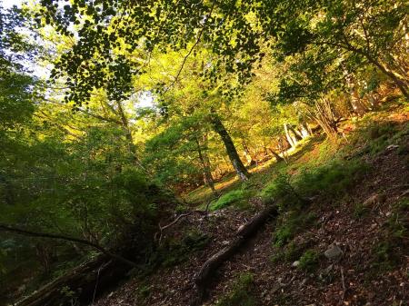 明るくなってきた