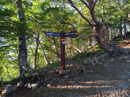 奥駆道出合い。暑さが心配だったけど南風がすごくて涼しいというより寒いくらいだったのでよかった＾＾