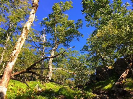 それにしても雲一つない青空