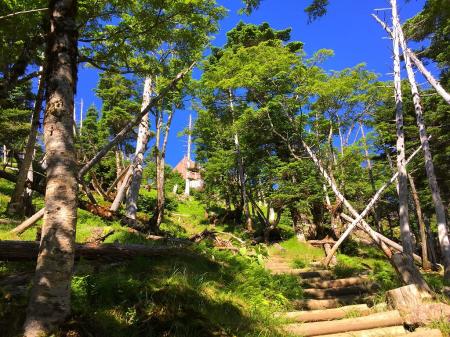 弥山小屋が見えた