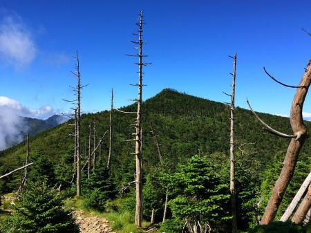 雲がわいてきたのでさっさと八経ヶ岳へ向かう