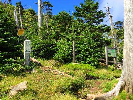 真っすぐ進むと頂仙岳、明星ヶ岳と奥駆道は左側を登る