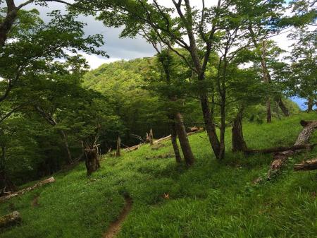 え？あのピーク登るの？地図ではトラバースしてたけど・・・結局、ピークにはいかないけどかなり登ることになった
