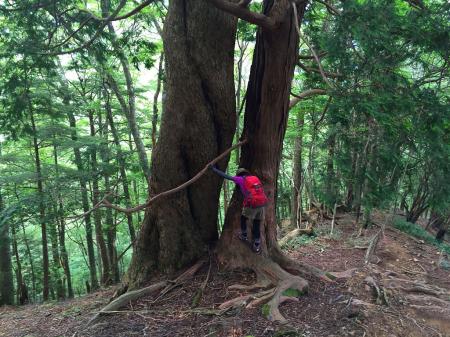 途中で二本ひっついた大きな木。black703さんにまたモデルになってもらったｗ