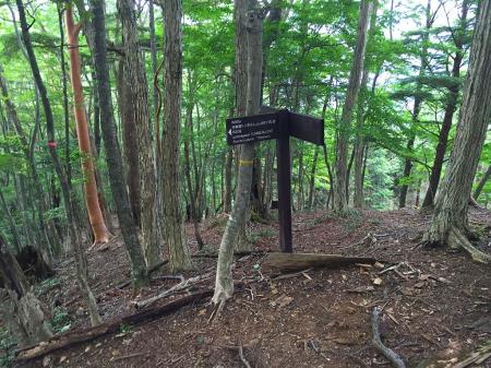 ここから東口は左へトラバース。真っすぐ進むと林道のかなり下に着いてしまう