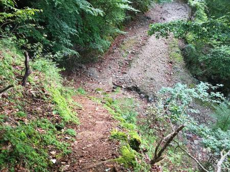 林道に到着。車が上の方に見えて「え？林道の登り！？」っと・・・