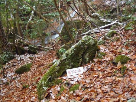 また音羽の滝！？