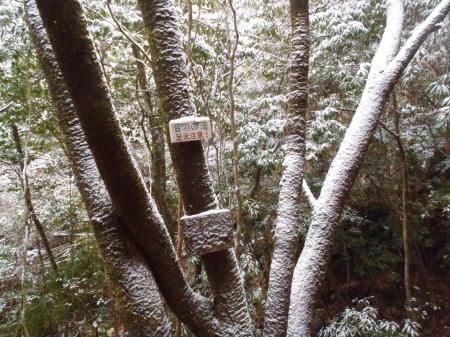 またまた？ってもういい！ｗ