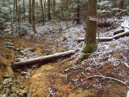 ここで一旦、烏帽子岳のほうへ向かう