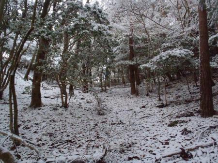 積雪がちょっとでてきた