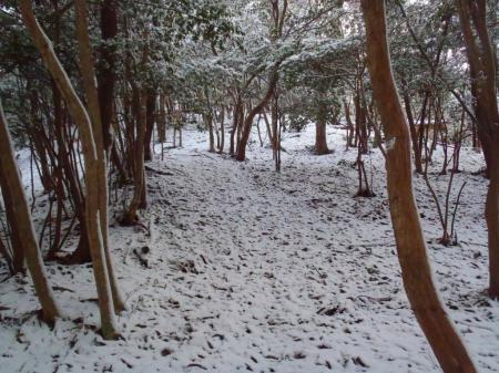 烏帽子岳にいかず半国山のほうへ行ってしまった