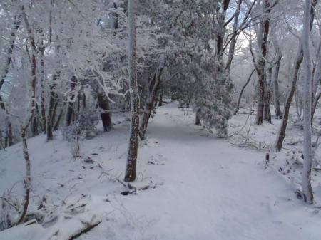 こういったトンネルもあり