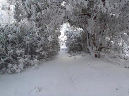 このトンネルの向こう側が山頂