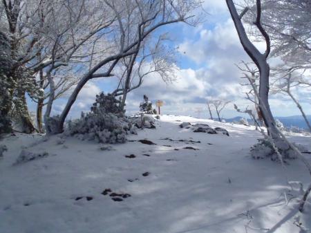 トンネルを抜けるとそこは