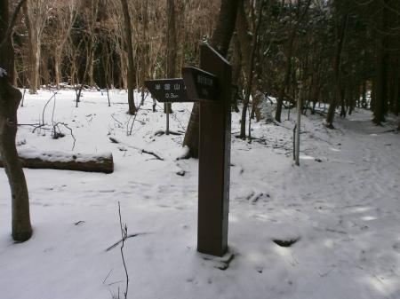 この辺りからちゃんとした道標がある。あと0.3kmと少し