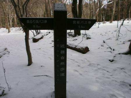 半国山ピーク手前の近畿自然歩道との分岐点