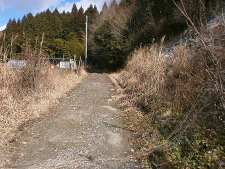 舗装道を進んでいく