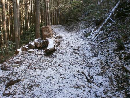 少し登っていくと雪があった