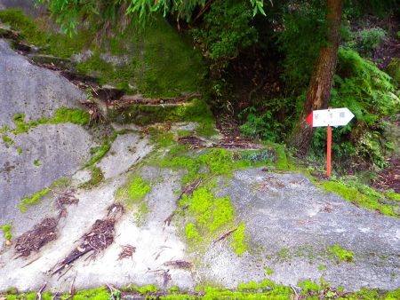 半作嶺北登山口。こんなところに登山口があるなんて珍しいかも。この階段を登っていく