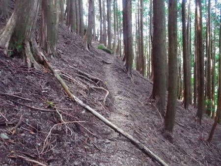 少し登ると長いトラバースの登山道が続く。方向感覚がおかしくなって方角は合ってるのか確認した